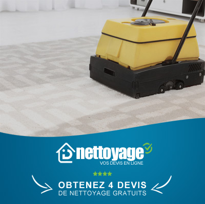 Nettoyage tapis belgique